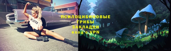 мдпв Верхний Тагил