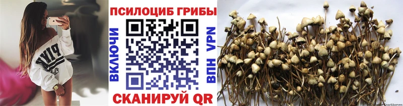магазин продажи   Льгов  Псилоцибиновые грибы мухоморы 